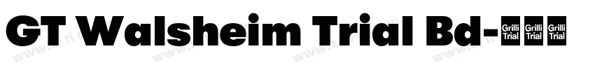 GT Walsheim Trial Bd字体转换